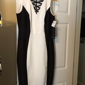 NWT JAX Dress Black and White size 8